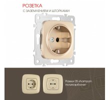 Розетка с заземлением и шторками Arte Milano 205.40-1.shampan