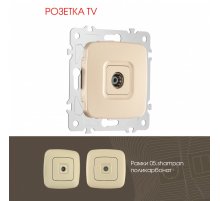 Розетка TV Arte Milano 205.43-1.shampan