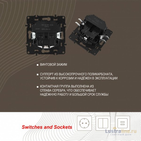 Розетка с заземлением, шторками + 2 USB Arte Milano 217.47-1.shampan