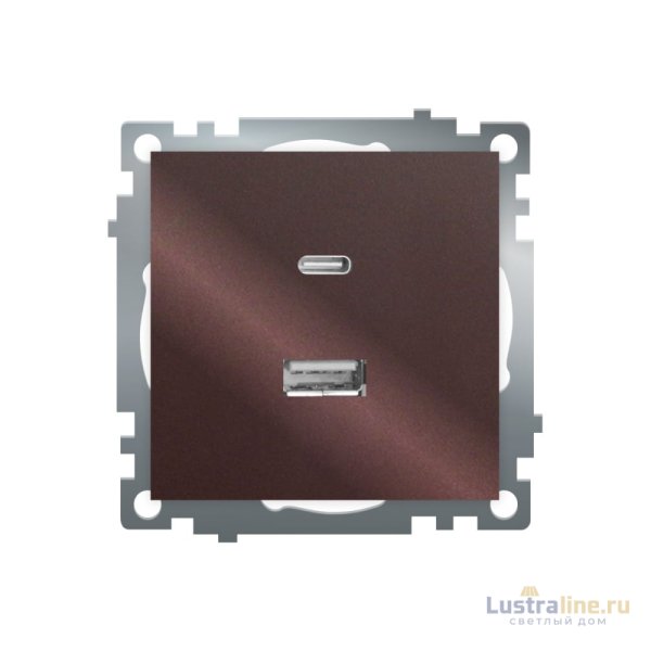Розетка 2-местная USB + type C Stekker Катрин GLS10-7116-04 50057
