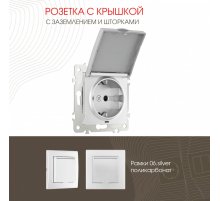Розетка с заземлением, шторками и защитной крышкой Arte Milano 206.41-1.silver