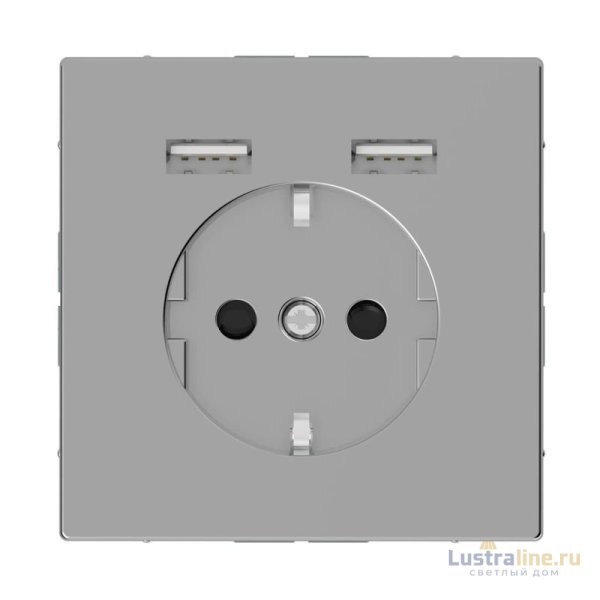 Розетка компьютерная USBx2 Schneider Electric Merten D-Life MTN2366-6036