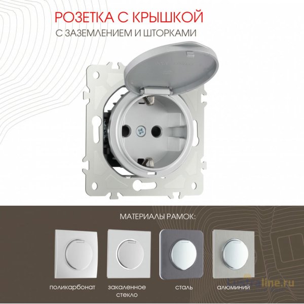 Розетка с заземлением, шторками и защитной крышкой Arte Milano 202.41-1.silver