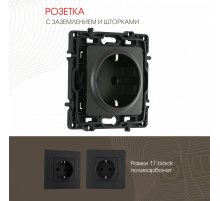 Розетка с заземлением и шторками Arte Milano 217.40-1.black