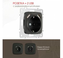 Розетка с заземлением, шторками + 2 USB Arte Milano 205.47-1.black