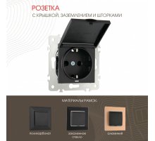 Розетка с заземлением, шторками и защитной крышкой Arte Milano 203.41-1.black