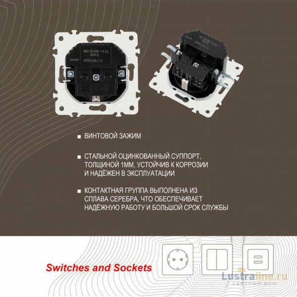 Розетка с заземлением, шторками + 2 USB Arte Milano 205.47-1.black