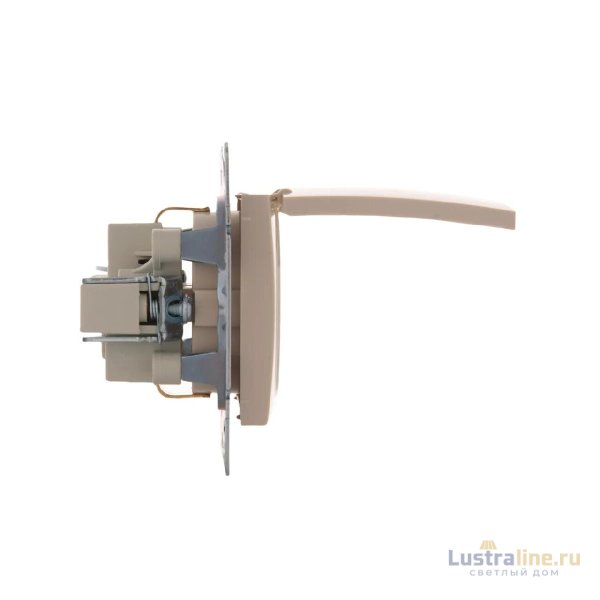 Розетка с/з с крышкой Lezard Karina 707-0388-123B