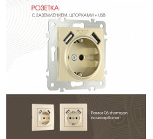 Розетка с заземлением, шторками + 2 USB Arte Milano 206.47-1.shampan