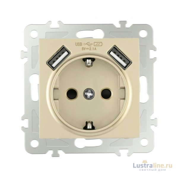 Розетка с заземлением, шторками + 2 USB Arte Milano 206.47-1.shampan