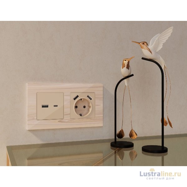 Комплект механизма розетки 2USB A+A 18W (быстрая зарядка) с/з Ambrella Volt Alfa MA309010
