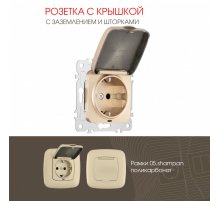 Розетка с заземлением, шторками и защитной крышкой Arte Milano 205.41-1.shampan