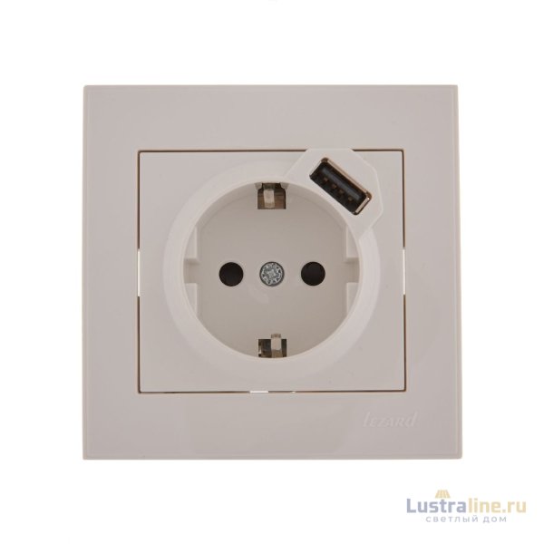 Розетка с/з + USB Lezard Rain 703-0202-181