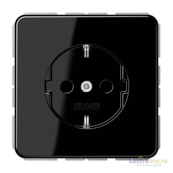 Hозетка SCHUKO Jung CD500 CD1520BFKISW