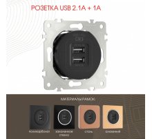 Розетка USB 2.1А+1А Arte Milano 202.46-1.black