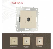 Розетка TV Arte Milano 203.43-1.shampan