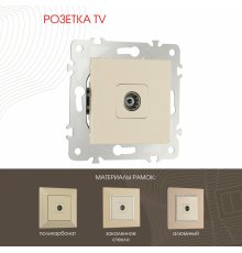 Розетка TV Arte Milano 203.43-1.shampan
