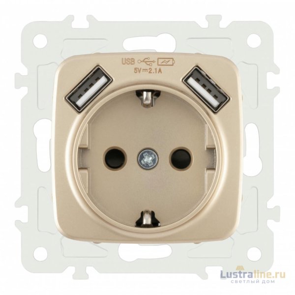 Розетка с заземлением, шторками + 2 USB Arte Milano 205.47-1.shampan