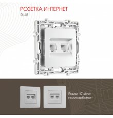 Розетка RJ45 Arte Milano 217.45-2.silver