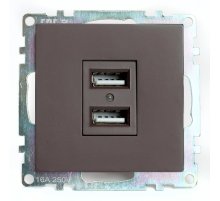 Розетка USB 2-местная Stekker Катрин GLS10-7115-04 49027