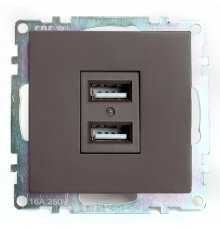 Розетка USB 2-местная Stekker Катрин GLS10-7115-04 49027