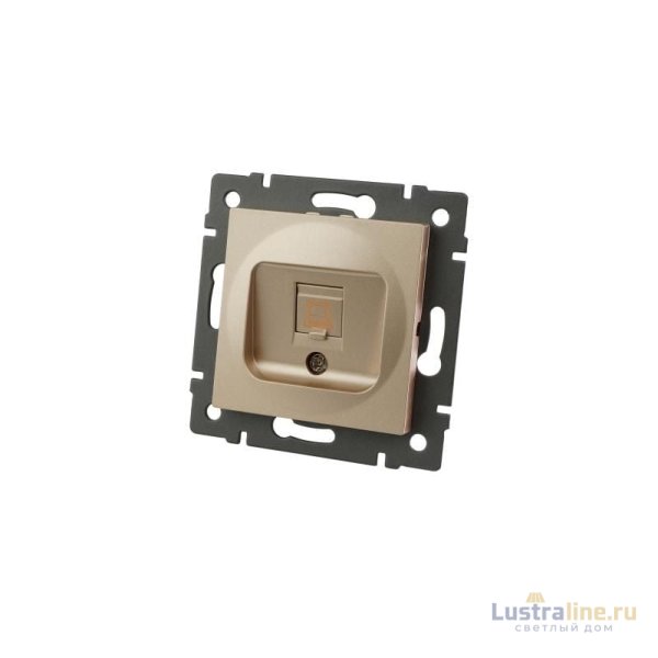 Механизм компьютерной розетки Arlight SCT-MPC1-PL-GD-V (RJ-45, CAT6) 049849