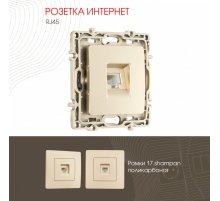 Розетка RJ45 Arte Milano 217.45-1.shampan