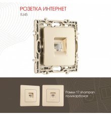 Розетка RJ45 Arte Milano 217.45-1.shampan