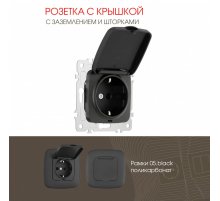 Розетка с заземлением, шторками и защитной крышкой Arte Milano 205.41-1.black