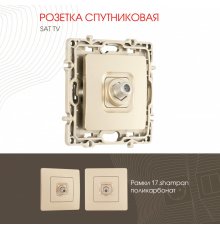 Розетка спутниковая SAT TV Arte Milano 217.42-1.shampan
