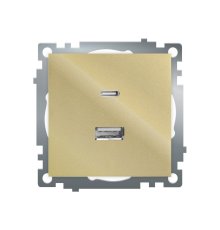 Розетка 2-местная USB + type C Stekker Катрин GLS10-7116-08 50053