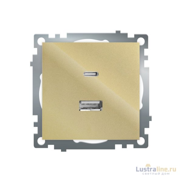Розетка 2-местная USB + type C Stekker Катрин GLS10-7116-08 50053
