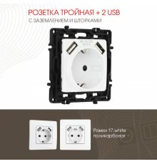 Розетка с заземлением, шторками + 2 USB Arte Milano 217.47-1.white