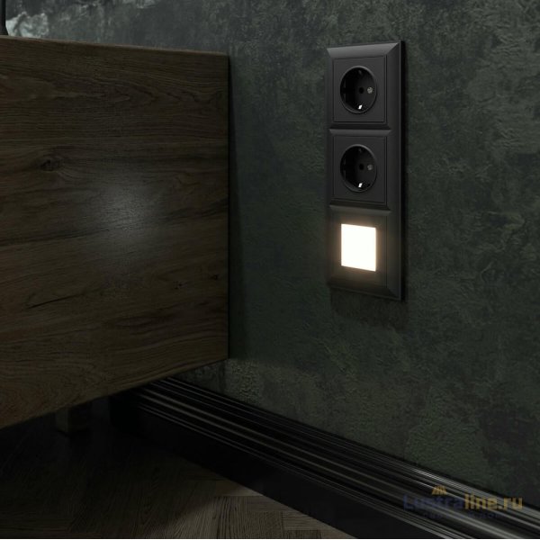 Розетка с заземлением Werkel черный матовый W1171008 4690389156878 Розетка с заземлением Werkel черный матовый W1171008 4690389156878