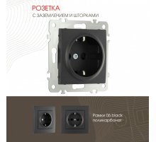 Розетка с заземлением и шторками Arte Milano 206.40-1.black