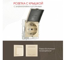 Розетка с заземлением, шторками и защитной крышкой Arte Milano 206.41-1.shampan