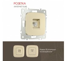 Розетка RJ45 Arte Milano 205.45-1.shampan