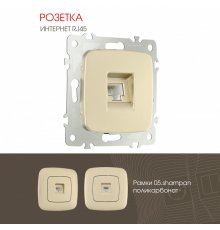 Розетка RJ45 Arte Milano 205.45-1.shampan