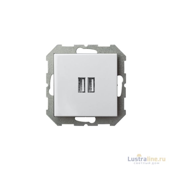 Розетка USB двойная для зарядки умная 5V(3,4А) Liregus Epsilon 28-0352