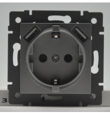 Механизм розетки с USB зарядкой Arlight SCT-MUAA-PL-GD-V (250V, 16A) 049821
