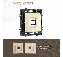 Вывод кабеля Arte Milano 217.49-1.shampan
