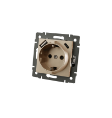 Механизм розетки с USB зарядкой Arlight SCT-MUAC-PL-GD-V (250V, 16A) 049832