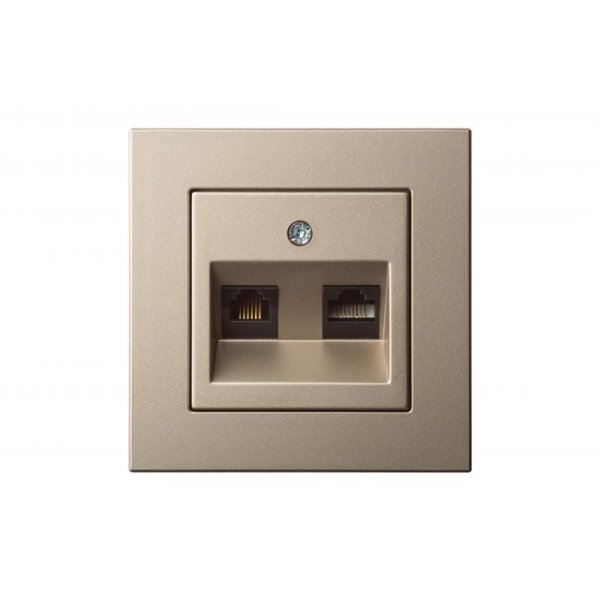 Розетка телефонная и компьютерная (RJ11+RJ45) Liregus Epsilon 28-3165