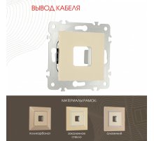 Вывод кабеля Arte Milano 203.49-1.shampan