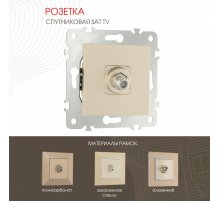 Розетка спутниковая SAT TV Arte Milano 203.42-1.shampan