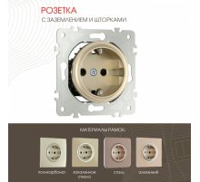 Розетка с заземлением и шторками Arte Milano 202.40-1.shampan