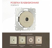 Розетка TV Arte Milano 202.43-1.shampan