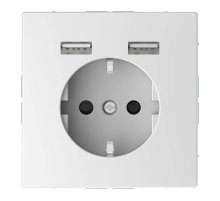 Розетка компьютерная USBx2 Schneider Electric Merten D-Life MTN2366-6035
