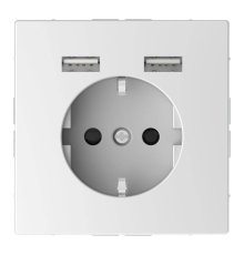 Розетка компьютерная USBx2 Schneider Electric Merten D-Life MTN2366-6035