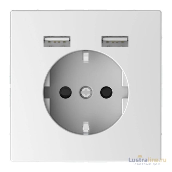 Розетка компьютерная USBx2 Schneider Electric Merten D-Life MTN2366-6035